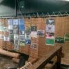 Expoziţii FOTO - tematice