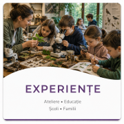 2.3 Experiente-Buton