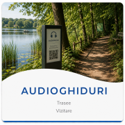 3.4 AudioGhiduri-Buton