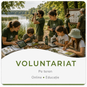 4.2 Voluntariat-Buton