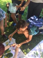 image6 image6